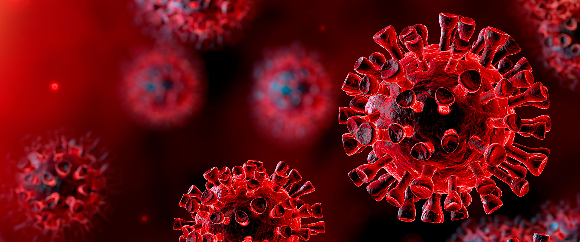 Corona Virus Image